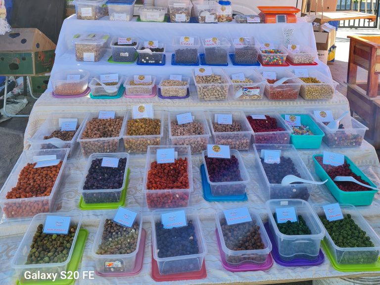 20240504 123201 Luisa Cav Inspiracion 768x576