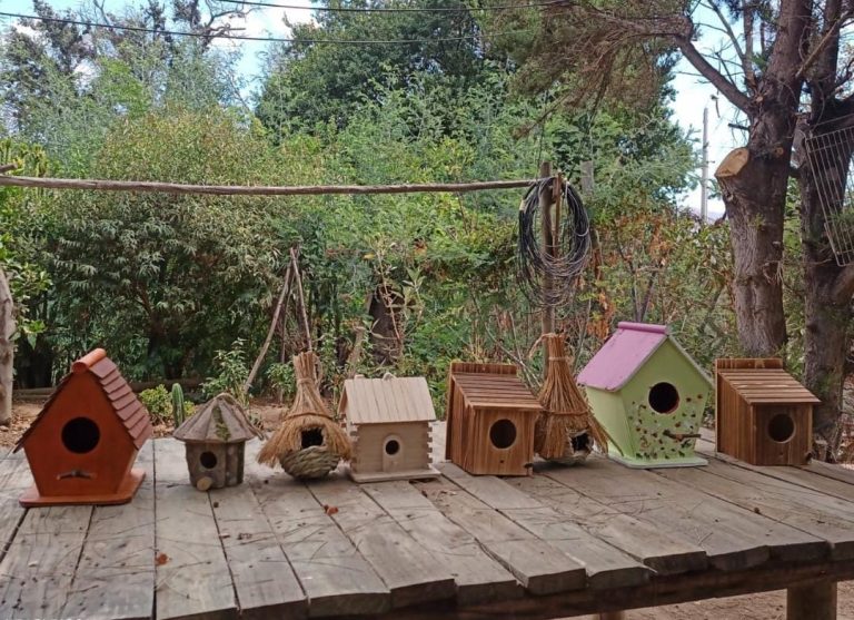 IMG 20240327 WA0022 Miguel Torres Carolina Nicol Urrea Venegas 768x557