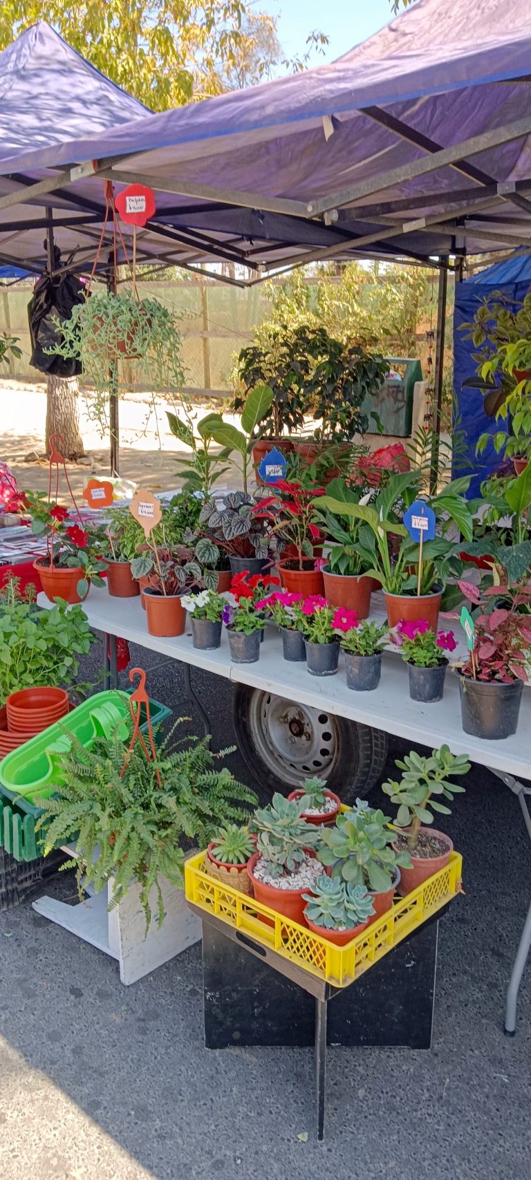 IMG 20230311 135812 JUAN LUIS SAAVEDRA PEREZ 1 1 768x1707