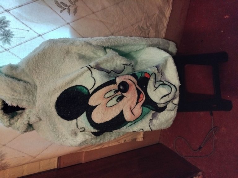 IMG 20240728 173038 Carol Cortes 768x576