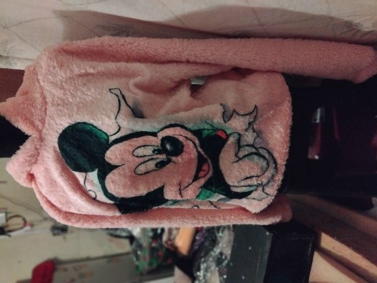 IMG 20240729 221641 Carol Cortes 768x576