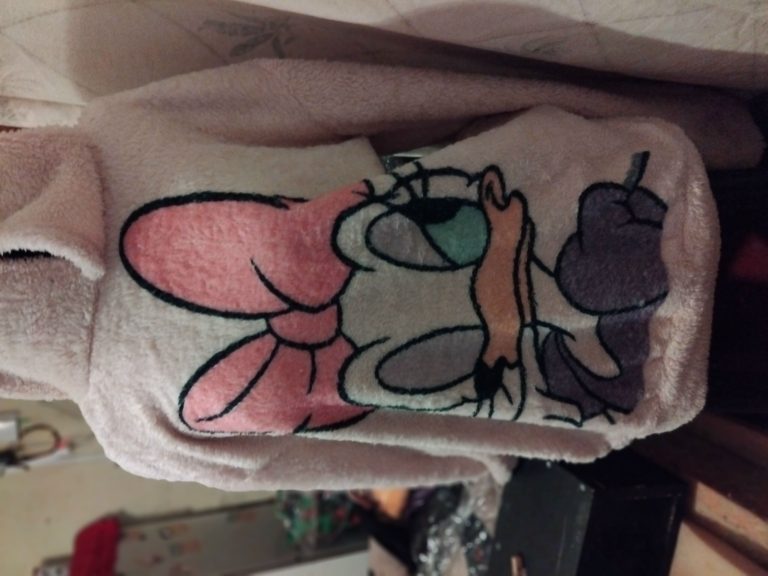 IMG 20240729 221738 Carol Cortes 768x576