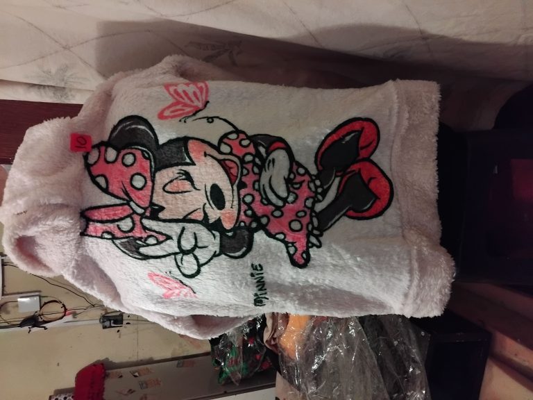 IMG 20240729 221945 Carol Cortes 768x576