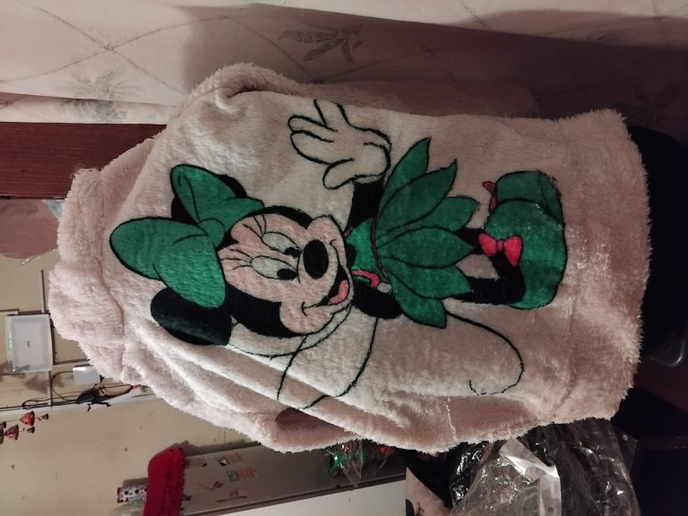 IMG 20240729 222020 Carol Cortes 768x576