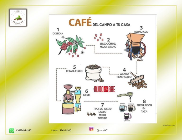 definitivo Jury Vasquez Vergara page 0004 768x593