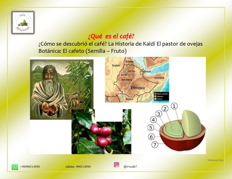 definitivo Jury Vasquez Vergara page 0005 768x593