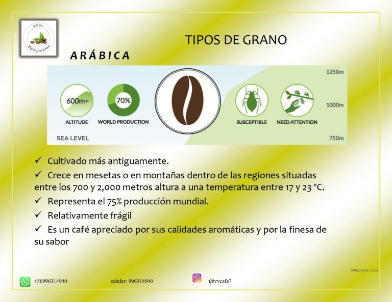 definitivo Jury Vasquez Vergara page 0006 768x593