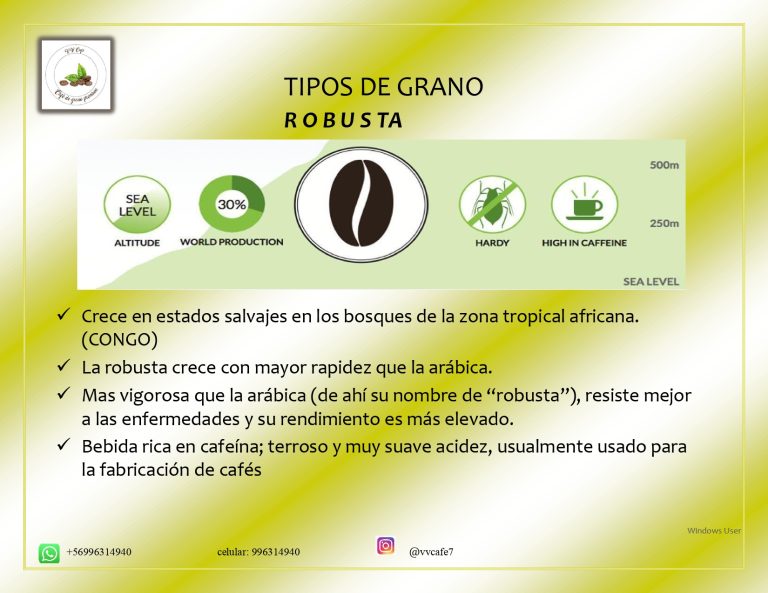 definitivo Jury Vasquez Vergara page 0007 768x593