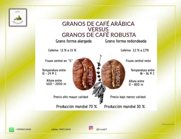 definitivo Jury Vasquez Vergara page 0008 768x593