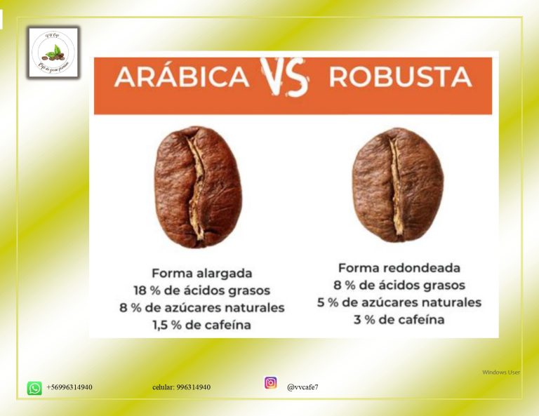 definitivo Jury Vasquez Vergara page 0009 768x593