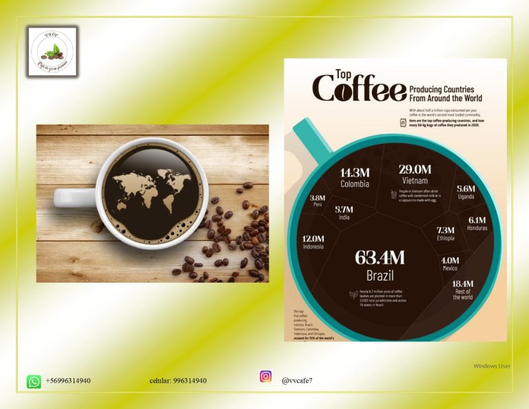 definitivo Jury Vasquez Vergara page 0010 768x593