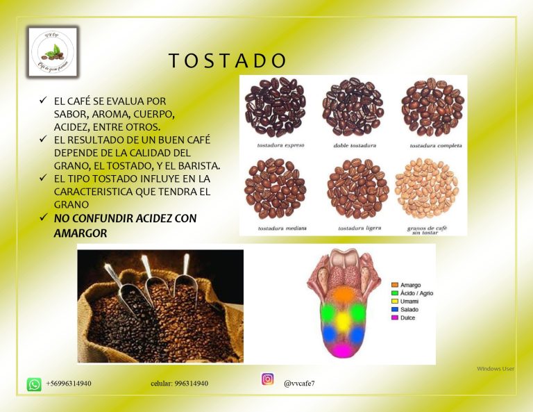 definitivo Jury Vasquez Vergara page 0012 768x593