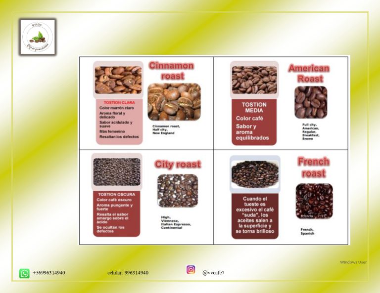 definitivo Jury Vasquez Vergara page 0014 768x593