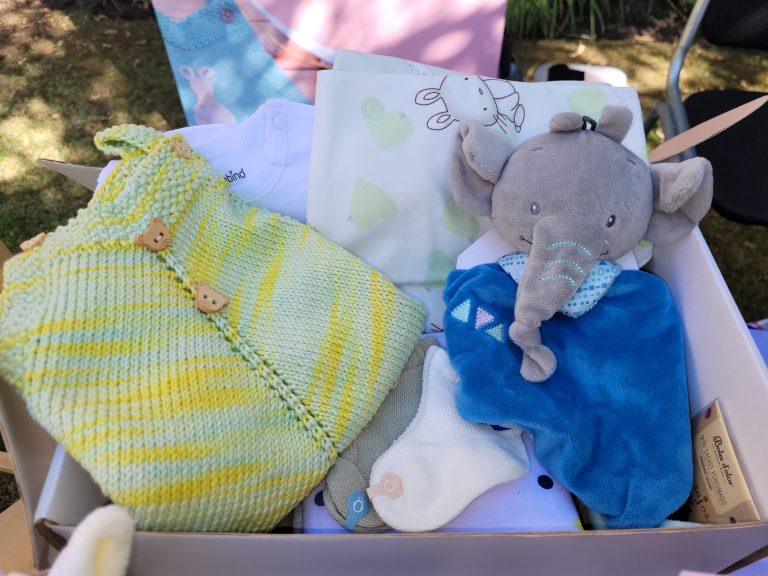 20211205 094534 Claudia Andrea Aguirre Opazo 1 768x576