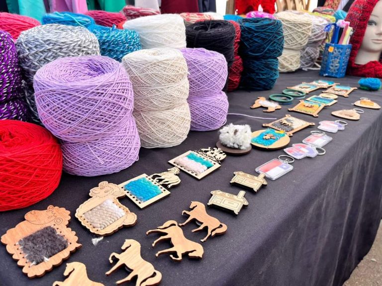 FB IMG 1725410860427 Patricia pena y lillo 768x576