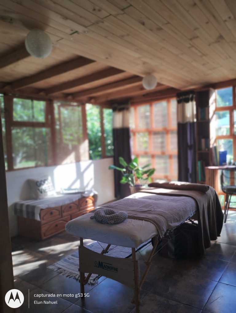 IMG 20240229 094819770 PORTRAIT claudia Diaz 768x1020