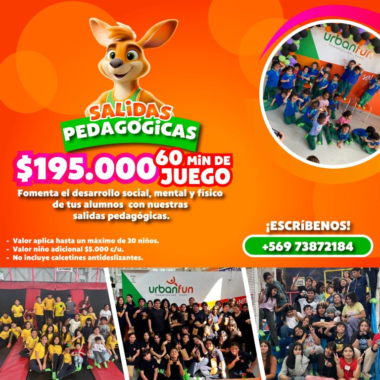 salidas pedagogicas Lorena Olivares Zamora 768x768