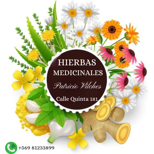 HIERBAS MEDICINALES