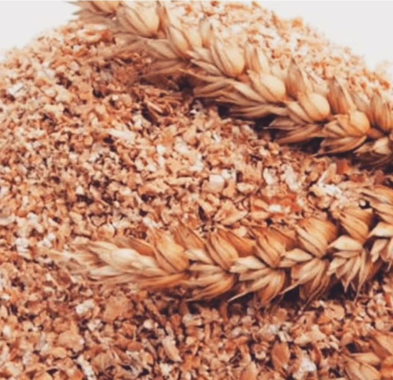 Ingredientes 768x741