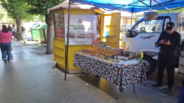 PHOTO 2024 11 27 12 26 49 768x432