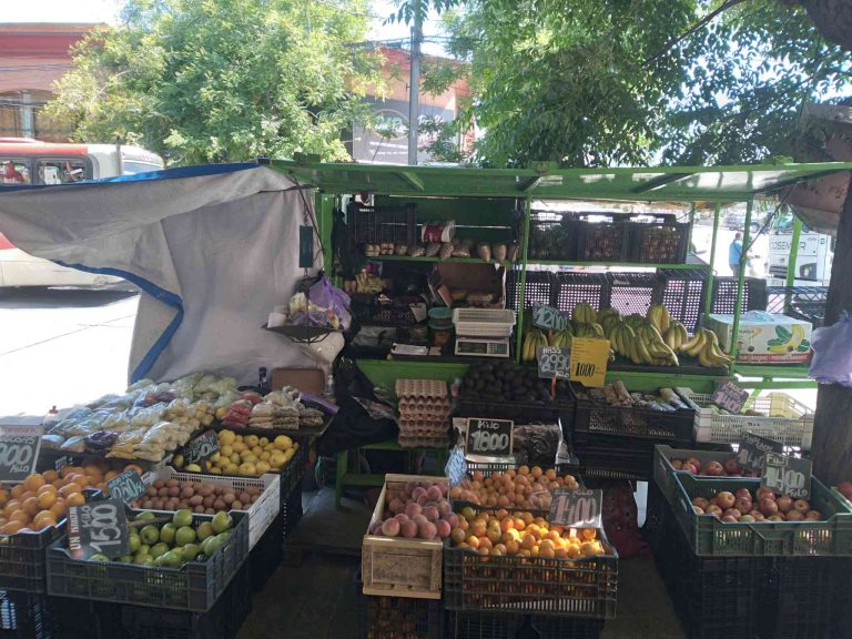 compressed 20241127 111935 768x576