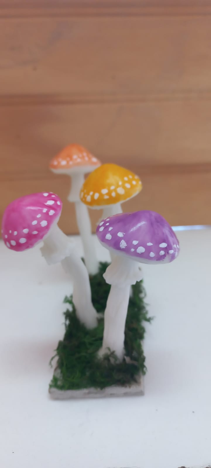 WhatsApp Image 2024 12 11 at 12.03.37 PM