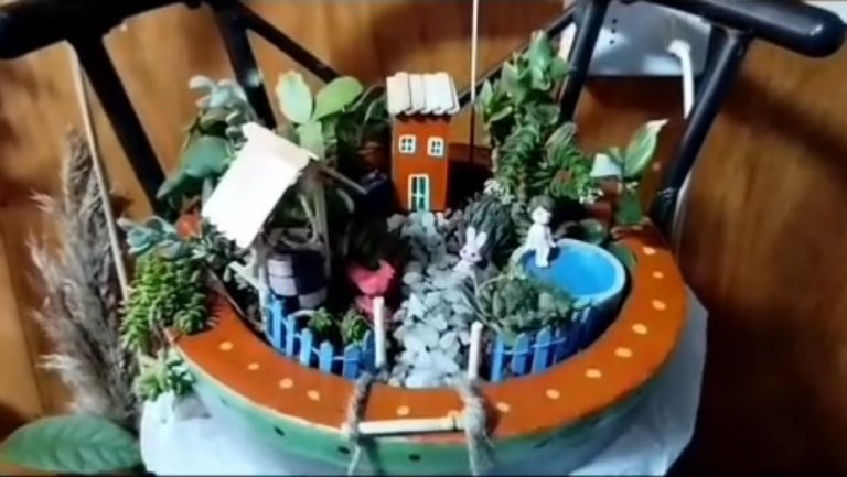 El rincon de Sobeida 3 768x433