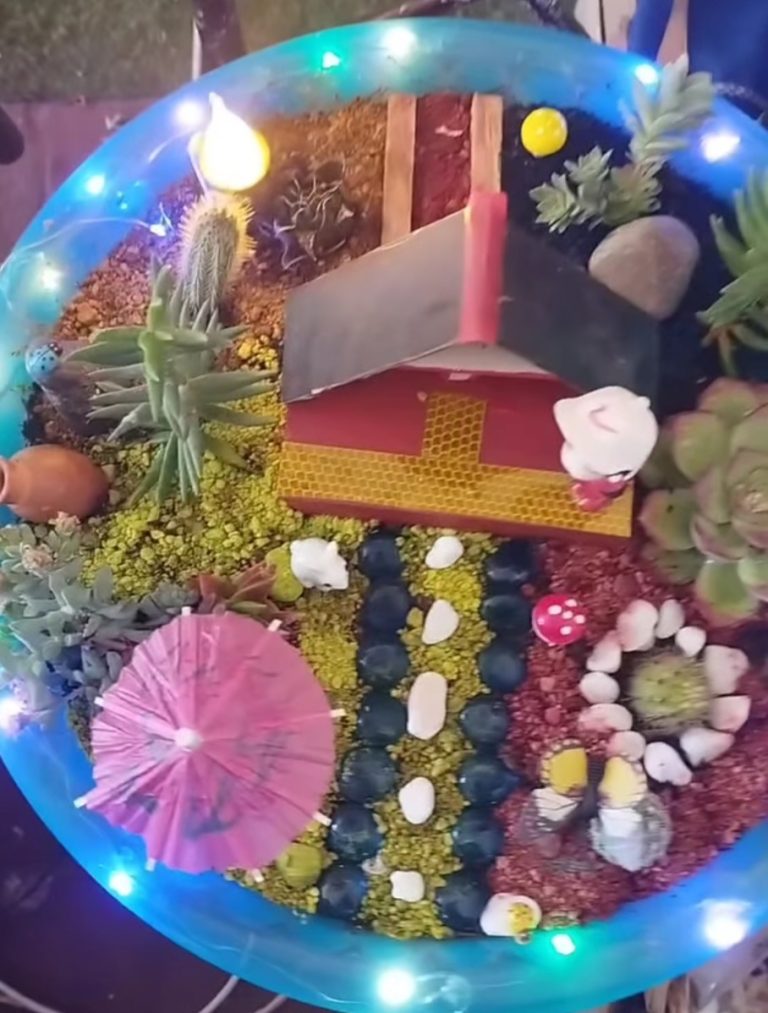 El rincon de Sobeida 768x1013