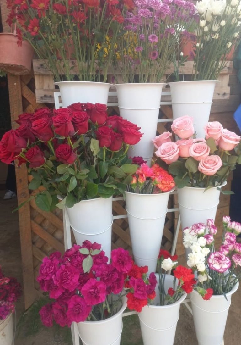 Flores Mayjo 6 768x1097