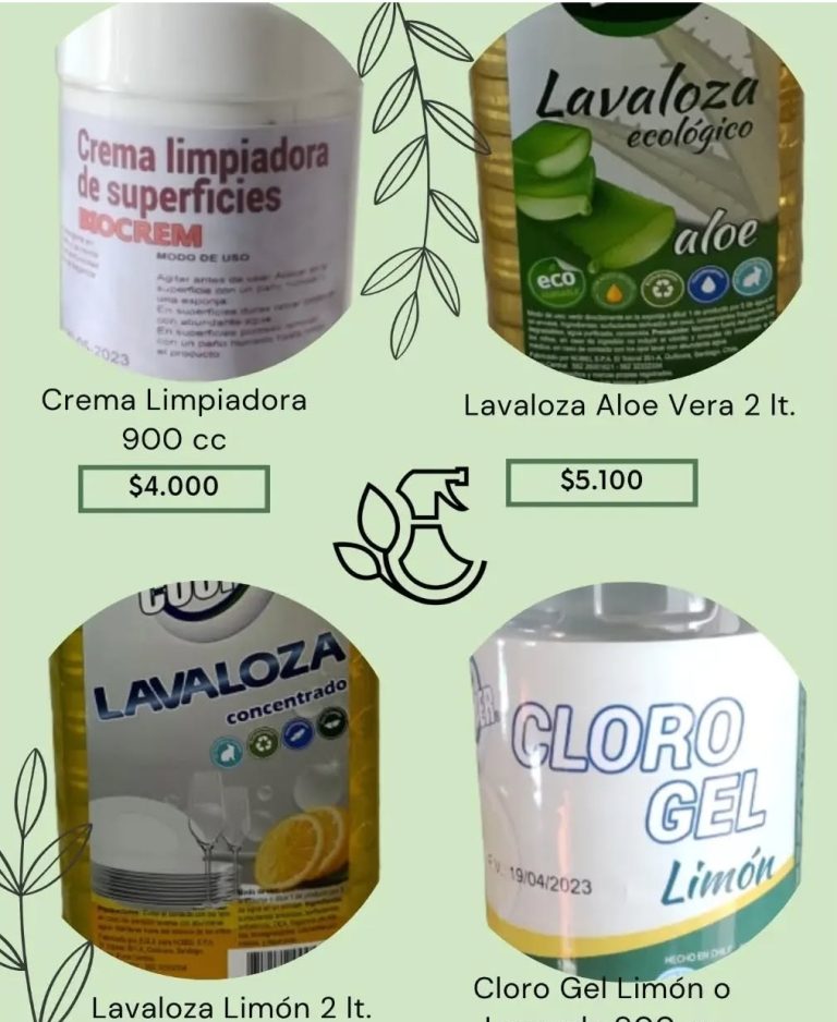 Limpieza Celestial 1 768x938