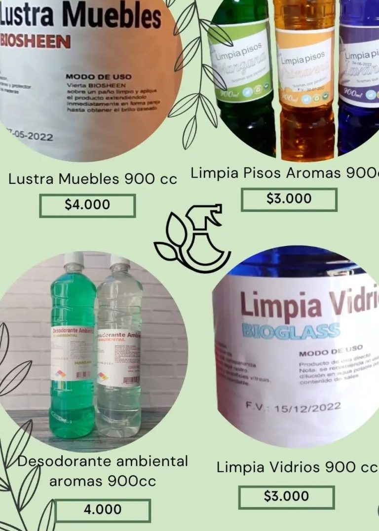 Limpieza Celestial 2 768x1077