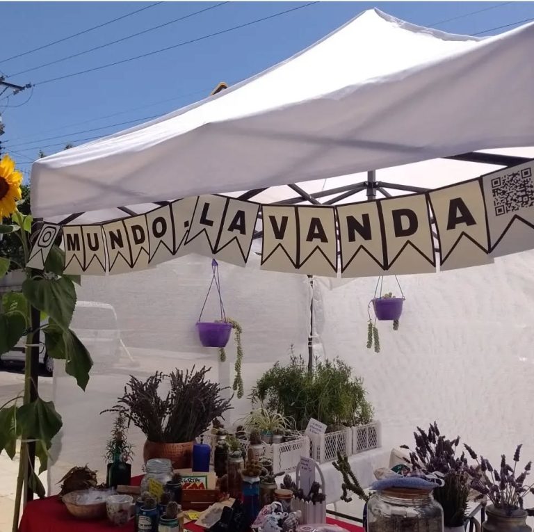 Mundo.lavanda 5 768x765
